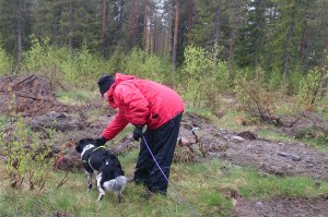 Madde Hördell gick anlagsprov på Viggesågen med "Bira"