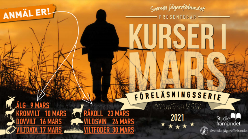 kurser mars