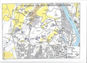 Karta I2 Skogen