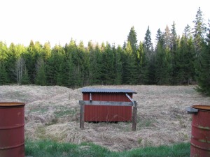 IMG_1318