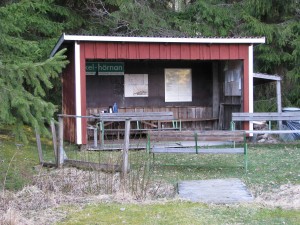 IMG_1322