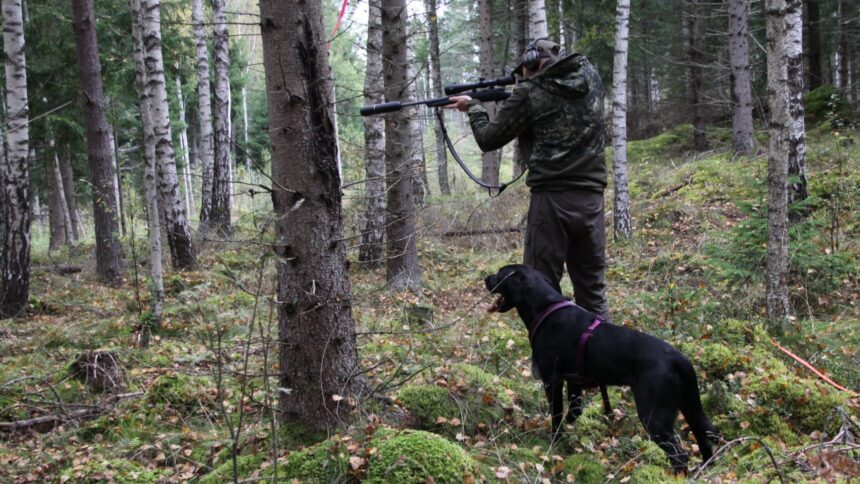 Eftersokskurs_4