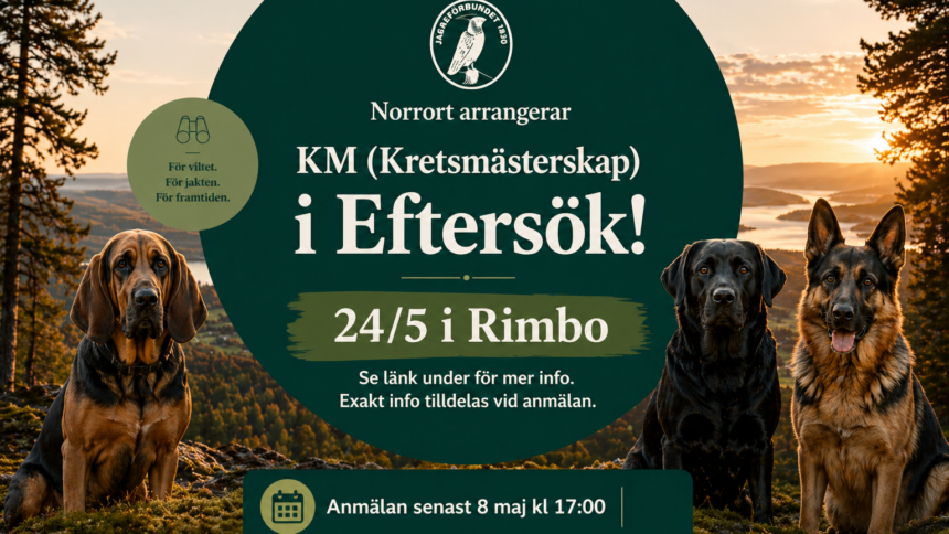 260430 Hemsidan Huvudbild