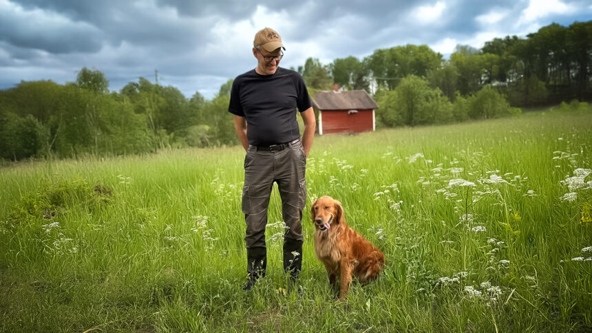 SM i eftersök har dragit igång. Jägareförbundet Rimbos Fredrik Lundh med golden retrivern Scilla har kvalificerat sig med den äran ända fram till SM. Foto: Urban Westermark