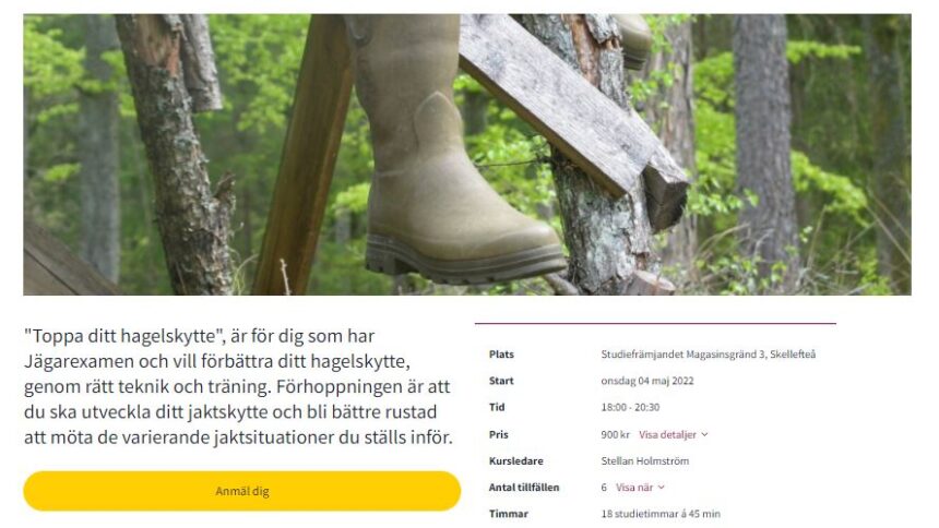Skärmklipp