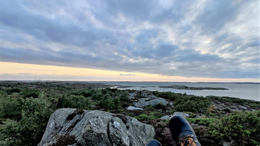 dawn_boot_small