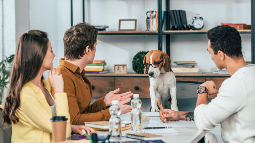 Three students with notebooks sitting at desk and looking at beagle dog in glasses