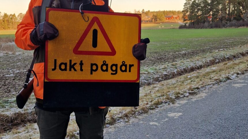 Nybörjarjakt pågår